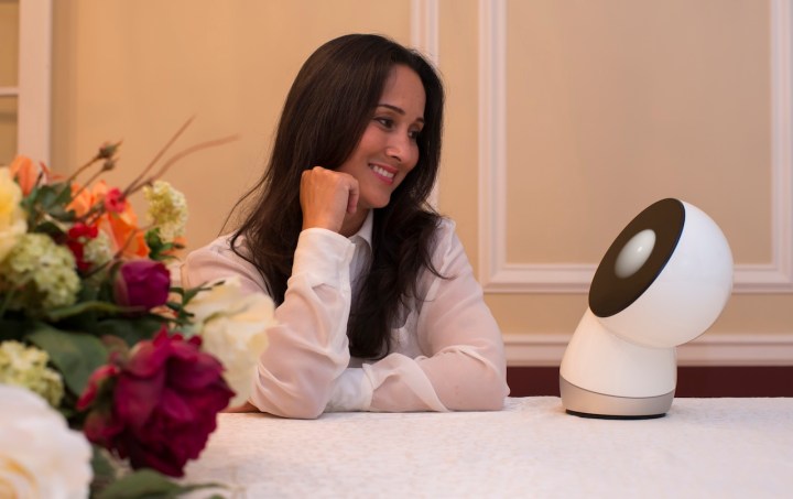 Jibo la nueva mascota doméstica